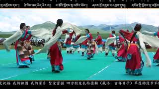 Tibetan Driru dance ནགས་ཤོད་འབྲི་རུའི་ཞབས་བྲོ། བྲོ་གླུ་དར་དཀར་རིང་མོ།#kalsangchoephel #tibetandance