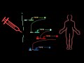 Course 0: Lesson 0: Introduction to Biomodeling