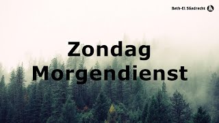 Zondagmorgendienst - Job 39  - Ds. C.P. de Boer