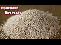 Dry Yeast Making at Home | How to make yeast at home | convert starter to dry yeast | yeast making