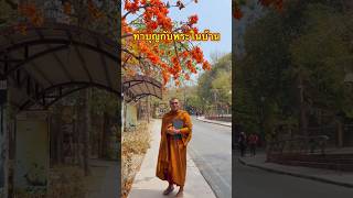 ทำบุญกับพระในบ้าน : พระครูสรการธีรคุณ