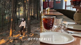 🌰OCTOBER(2) VLOG #125 / 가을 날씨를 만끽했던 10월 일상브이로그 #125 / 도아하바 DOAHAVA