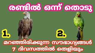 നിങ്ങളെ തേടി എത്തുന്ന സപ്രധാന സന്ദേശം  വഴിത്തിരിവിലേക്ക് . Thodukuri shastram. jyothisham Malayalam