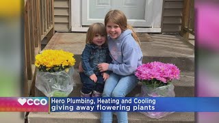 Positive Stories: Unexpected Flowers Popping Up On Twin Cities Porches