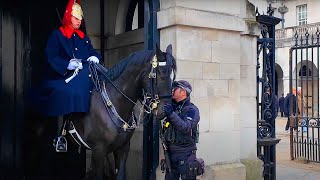 The Power of Kindness: Police Help a Frightened Horse Relax…!