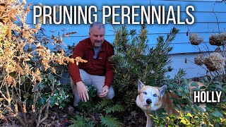 How to Prune Evergreen Perennials - Five Minute Friday