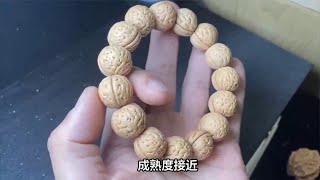 制作桃核手串，为什么要选择同一棵树的桃核？