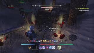 The Elder Scrolls Online Blacksmith survey Alik'r Desert