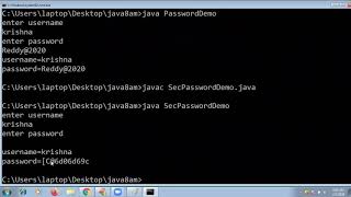 Java Console class