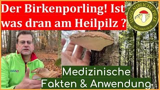 Birkenporling Teil 2 - Medizinische Fakten \u0026 Anwendung - euer Apotheker erklärt Heilpilze Dez 2022