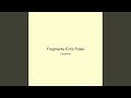 Fragments Echo Pulse