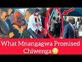 Listen What Mnangagwa Promised Chiwenga😳