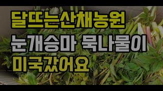 달뜨는산채농원 묵나물이 미국 간 사연