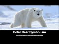 Polar Bear Symbolism