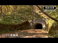 廃道の紅葉【jnn 紅葉ドローンdig】｜tbs news dig