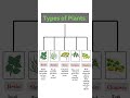 classification of plants types of plants trees herbs shrubs climbers creepers example biology botany