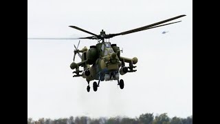 «Ночной охотник» наконец-то стал видеть в темноте