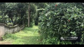 Well maintained 30cent land for sale near Kenichira. wayanad