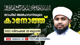 തൗഫീഖ് അൽഹസനി യുടെ കാനോത്ത് | Mohammed Thoufeeque Alhasani 💝 Shahla Thasneem Hadiya | Nikah Ceremony