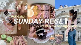 ✨ SUNDAY RESET ROUTINE ✨ everything shower, spring clean, productivity & more