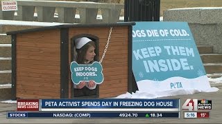 PETA activist spends day in freezing dog house