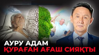 Ағза тазалау мен ашығу арқылы емделу