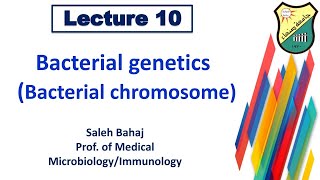 10- Bacterial genetics (Bacterial chromosome)