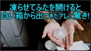 ロックアイスの丸い氷を作る容器製氷皿（製氷機）が、100均ダイソーで売っていた！作り方も簡単でおすすめです！