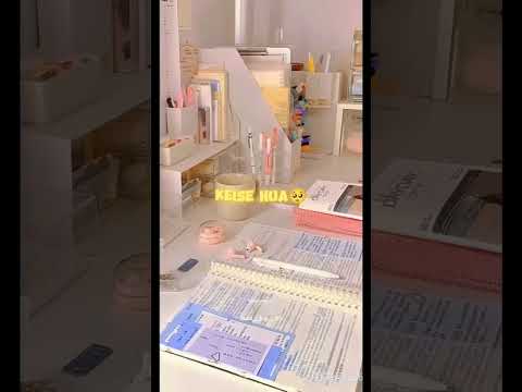 Study Reels Youtube