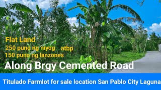 #Vlog255 FARM LOT FOR SALE TITLED  FLAT LAND | LOCATED SAN PABLO CITY LAGUNA