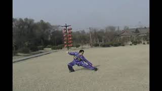 [쿵푸 쿵후 우슈 Kungfu Wushu 功夫 武术] 소림사오보권 5 Fundamental Stances of Shaolin 少林寺 五步拳(Wu Bu Quan) (2009.11)