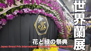 2025 Japan Grand Prix International Orchid and Flower Show 2025【Orchid】