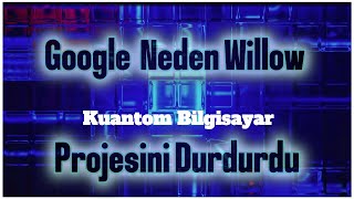 GoogleWillow, aniden gizemin, spekülasyonun ve korkunun merkezi haline geldi.