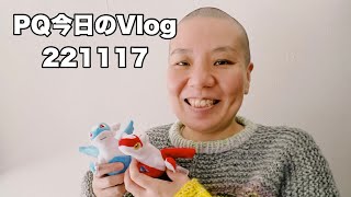 PQ今日のVlog 221117 ラティオスの妹来た