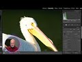 lightroom for white birds