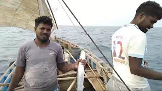 தூண்டில் மீன் பிடித்தல் / Catching fish by fish hook | bait fishing