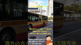 #shorts #youtubeshorts #YouTube #Live #TV #Japan #Japanese #BUS