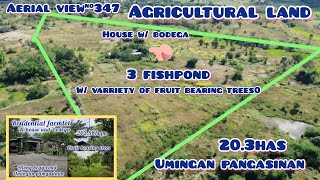 lot 519 Agricultural land w/ house and lot and bodega w/ fruit bearing trees, 3 fishpond umingan