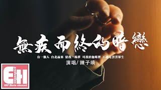 陳子晴 - 無疾而終的暗戀『有一個人自北而來 留我一場夢，可我於他眼裡不過是芸芸眾生。』【動態歌詞/Vietsub/Pinyin Lyrics】