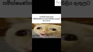 😂😂😂😂😂😂😂😂😂#facebookmeme #මීමා @මීමා