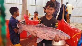 ৪শ বছরের ঐতিহ্যবাহী পোড়াদহ মাছের মেলা এবছর কবে হবে?