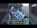Guy Builds A Tiny House For A Stray Cat In His Yard  The Dodo