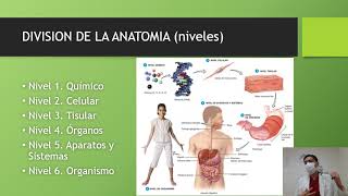 Estructura y función del cuerpo humano clase 1