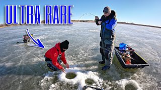 The RAREST FISH To Catch Through The Ice!!! (Unexpected Catch)