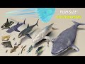 Fish Size Comparison 3D | Smallest to Largest Fish  | Sea Monsters