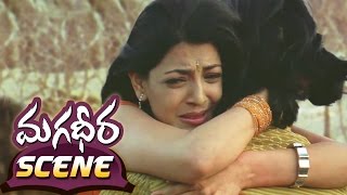 Magadheera Telugu Movie Climax Fight || Ram Charan, Kajal Aggarwal, Dev Gill, Srihari