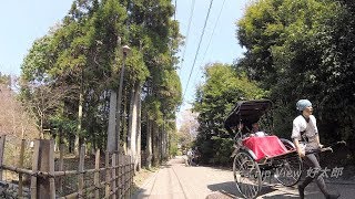 【嵯峨野巡り】落柿舎から祇王寺まで【苔の庭園】