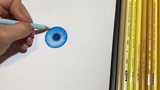 How to Draw Eyes with Colored Pencil in Just 3 Easy Steps!