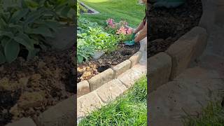 Planting Summer Annuals 🌸 #gardening #planting