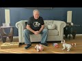 Unboxing the FIRST official Sony ERS-1000 aibo PinkBo in the US. Meet Caddi the ERS-1000P